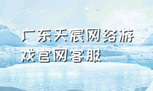 广东天宸网络游戏官网客服