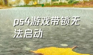 ps4游戏带锁无法启动（无网络ps4游戏上带个锁怎么解决）