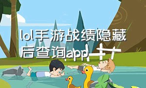 lol手游战绩隐藏后查询app