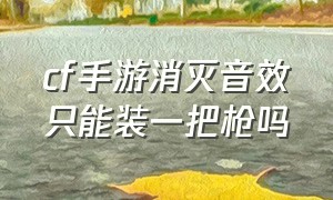 cf手游消灭音效只能装一把枪吗