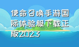 使命召唤手游国际体验服下载正版2023（使命召唤手游怎么下载国际体验服）