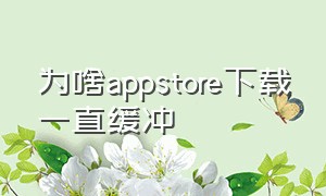 为啥appstore下载一直缓冲