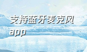 支持蓝牙麦克风 app