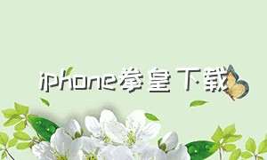 iphone拳皇下载