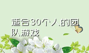 适合30个人的团队游戏