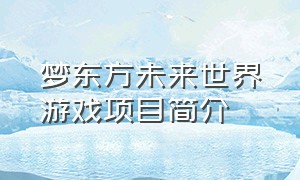梦东方未来世界游戏项目简介（未来游戏世界的正确打开方式）