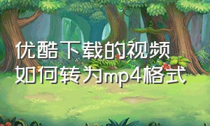 优酷下载的视频如何转为mp4格式