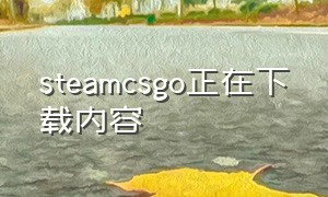 steamcsgo正在下载内容（steamcsgo正在验证下载）