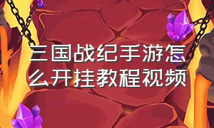 三国战纪手游怎么开挂教程视频（三国战纪手游怎么开挂视频）