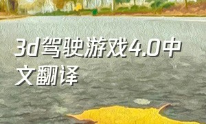 3d驾驶游戏4.0中文翻译（韩国3d驾驶游戏3.0最新版）