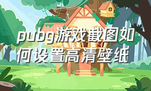 pubg游戏截图如何设置高清壁纸（pubg游戏截图在哪）