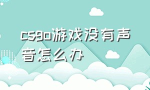 csgo游戏没有声音怎么办