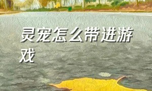 灵宠怎么带进游戏