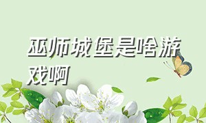 巫师城堡是啥游戏啊