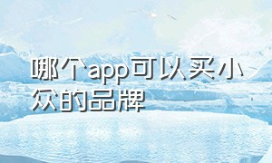 哪个app可以买小众的品牌