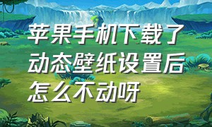 苹果手机下载了动态壁纸设置后怎么不动呀（苹果手机为什么设置不了动态壁纸）