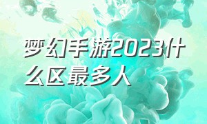 梦幻手游2023什么区最多人