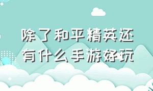 除了和平精英还有什么手游好玩