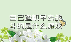 自己造机甲去战斗的是什么游戏