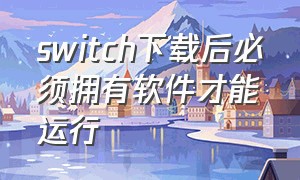 switch下载后必须拥有软件才能运行