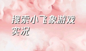 搜索小飞象游戏实况