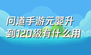 问道手游元婴升到120级有什么用