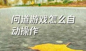 问道游戏怎么自动操作（问道自动战斗设置教程视频）