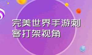 完美世界手游刺客打架视角