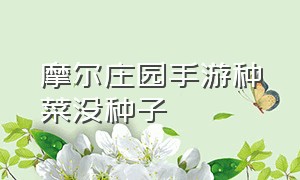 摩尔庄园手游种菜没种子（摩尔庄园手游新手攻略怎么买种子）