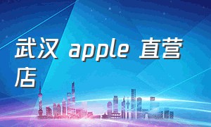 武汉 apple 直营店