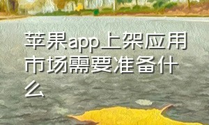 苹果app上架应用市场需要准备什么