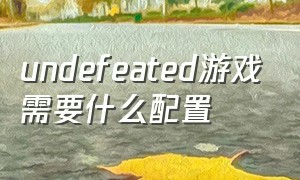 undefeated游戏需要什么配置