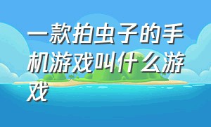 一款拍虫子的手机游戏叫什么游戏