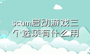 scum启动游戏三个选项有什么用