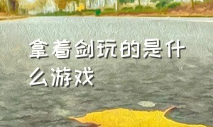 拿着剑玩的是什么游戏（一款拿剑单挑的游戏）