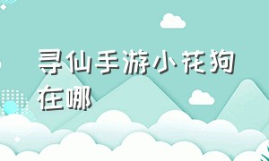 寻仙手游小花狗在哪（手游寻仙）