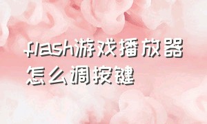 flash游戏播放器怎么调按键