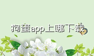 狗蛋app上哪下载