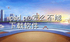 ipad pro怎么不能下载软件