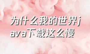 为什么我的世界java下载这么慢（下载我的世界java最简单的方法）