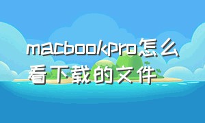 macbookpro怎么看下载的文件（macbookpro怎么看电池健康度）