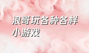 浪哥玩各种各样小游戏（浪哥玩儿的小游戏叫什么名）