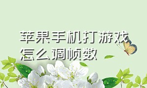 苹果手机打游戏怎么调帧数（苹果手机玩游戏怎么看帧数）