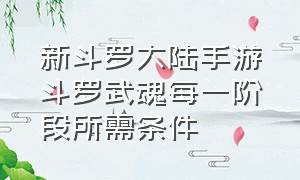 新斗罗大陆手游斗罗武魂每一阶段所需条件