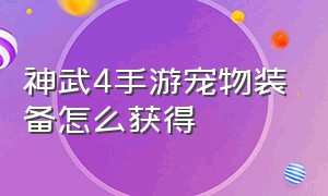 神武4手游宠物装备怎么获得