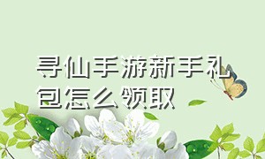 寻仙手游新手礼包怎么领取