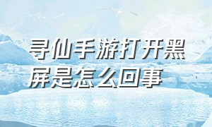 寻仙手游打开黑屏是怎么回事