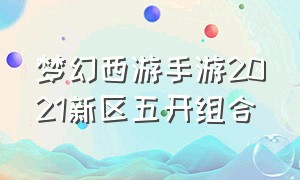 梦幻西游手游2021新区五开组合（梦幻西游手游5开最佳组合平民2024）