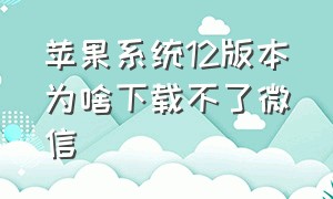 苹果系统12版本为啥下载不了微信