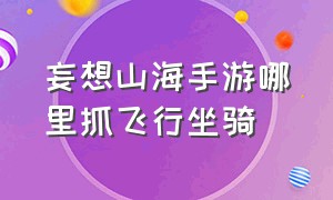 妄想山海手游哪里抓飞行坐骑